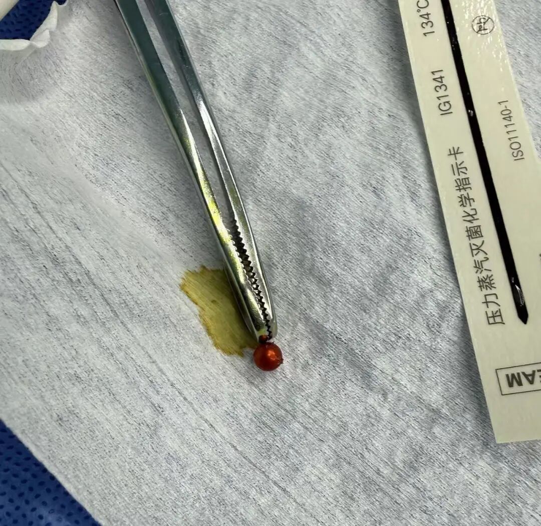 微信图片_2026-03-27_095335_222.jpg 微信图片_2026-03-27_095335_222.jpg