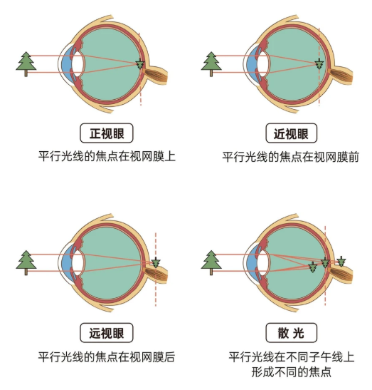 微信图片_2026-04-08_152520_873.png 微信图片_2026-04-08_152520_873.png