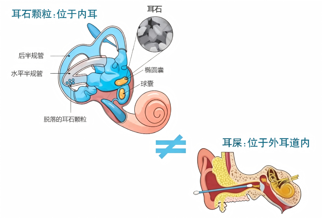 微信图片_2026-06-02_090023_383.png