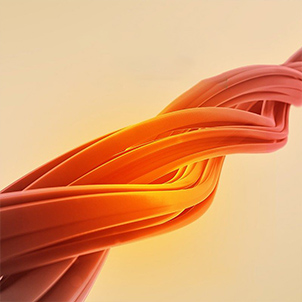 心脑血管系统疾病